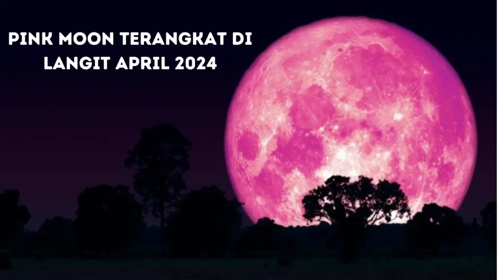 Fenomena Pink Moon Terangkat di Langit April 2024