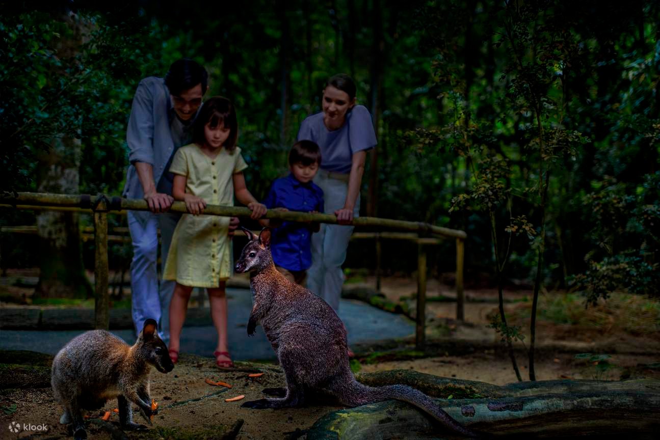 Liburan Seru ke Singapore Night Safari Bersama Keluarga