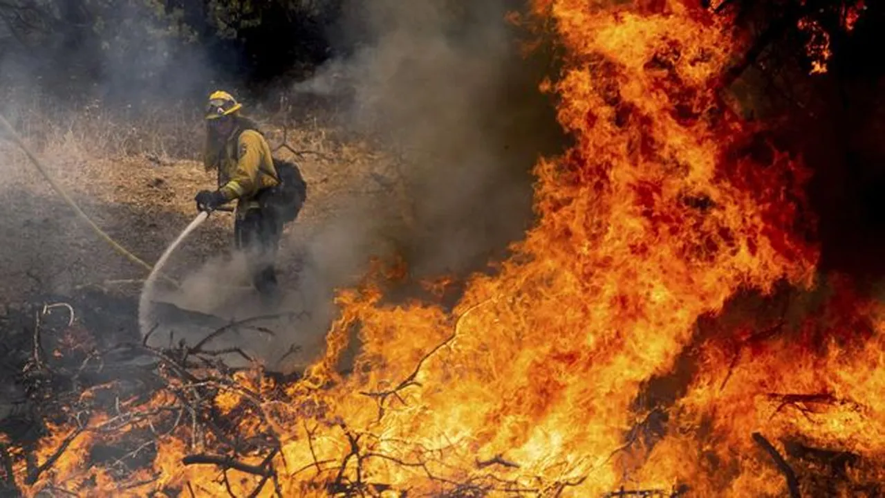 Evakuasi Massal Akibat Insiden Kebakaran Hutan Los Angeles