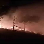 Kebakaran Hutan Mengancam Desa Punti Kabupaten Bima