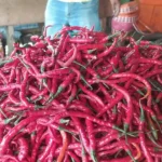 Terungkap! Harga Cabai dan Beras Hari Ini Melonjak Drastis – Cek Berapa Kenaikannya!