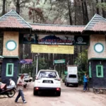 Destinasi Wisata Alam Gunung Pancar Bogor