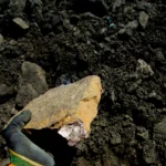 BKPM Tingkatkan Program Hilirisasi untuk Pacu Industrialisasi Nikel hingga Rumput Laut